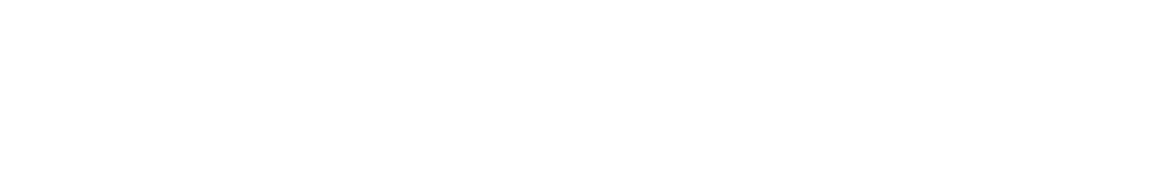 TerraLITIX Logo